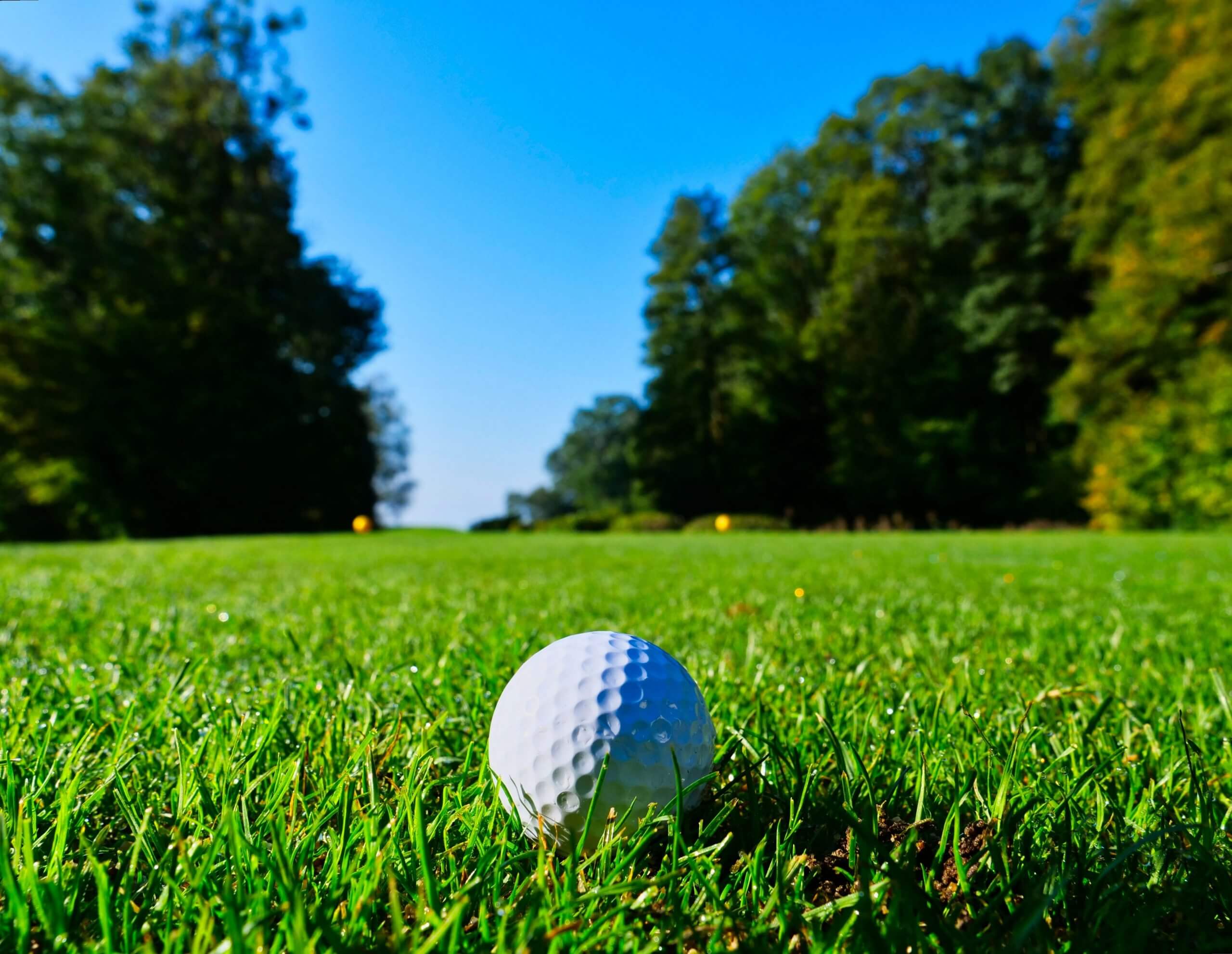 Golf ball on a golf course